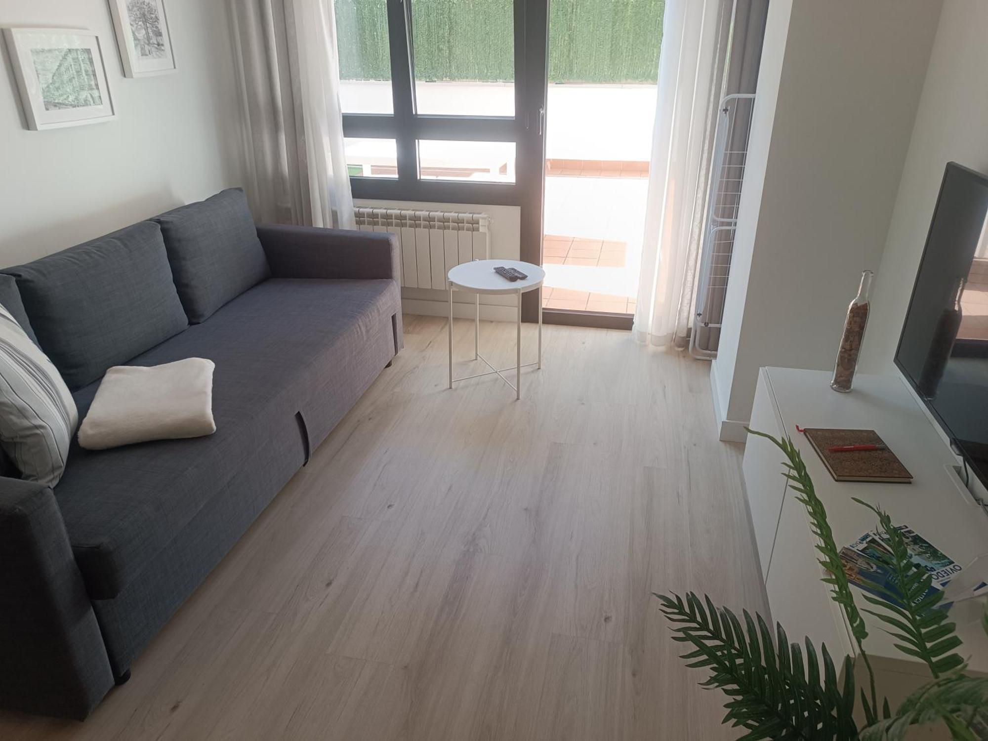 La Terraza De La Vega - Ubicacion Inmejorable , Wifi , Terraza Y Parking Gratuito Apartment Oviedo Exterior photo